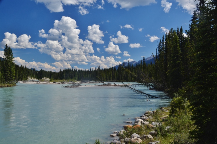 dog lake trail